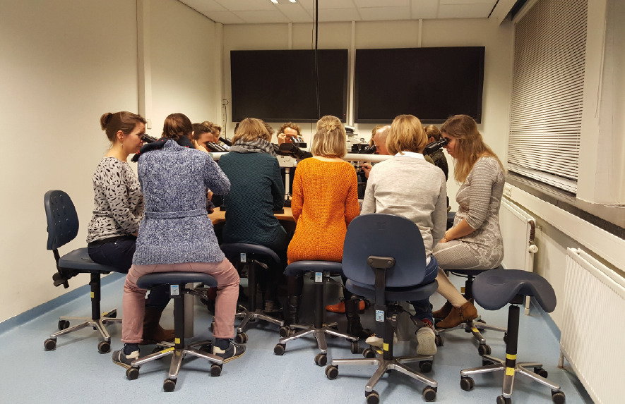 Opleiding MS-zorgprofessional