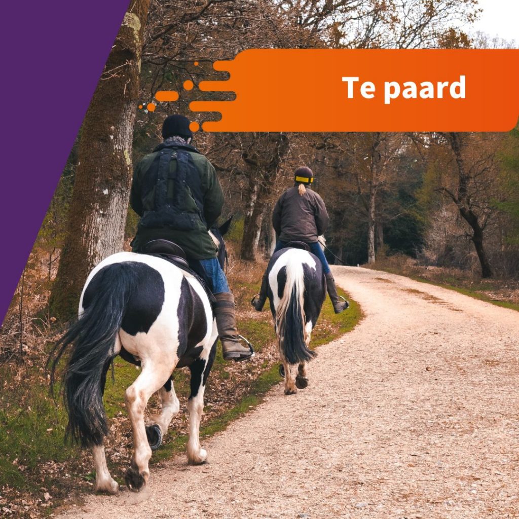 MS Motion Virtual Run oproep