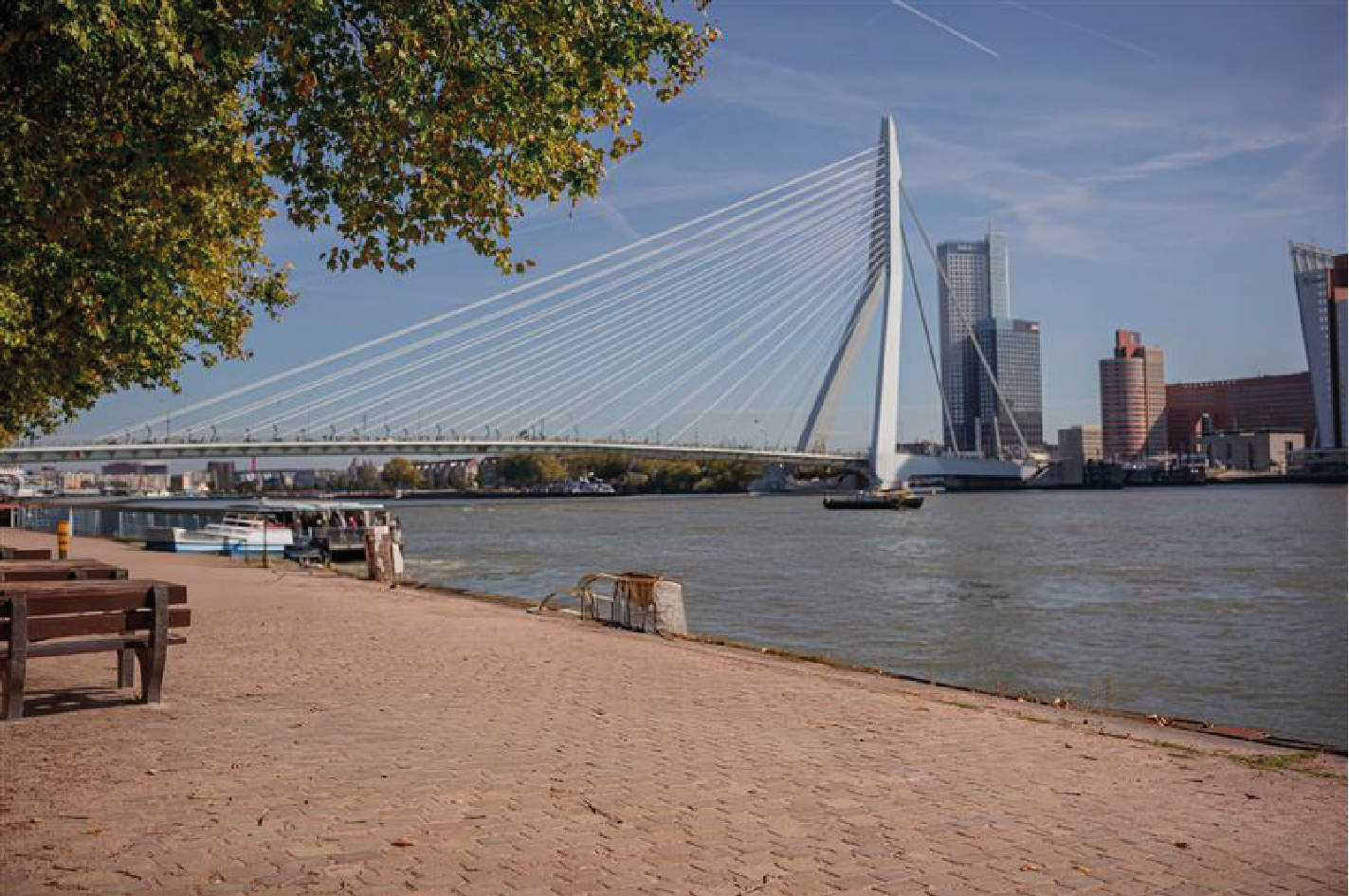 NN Marathon Rotterdam